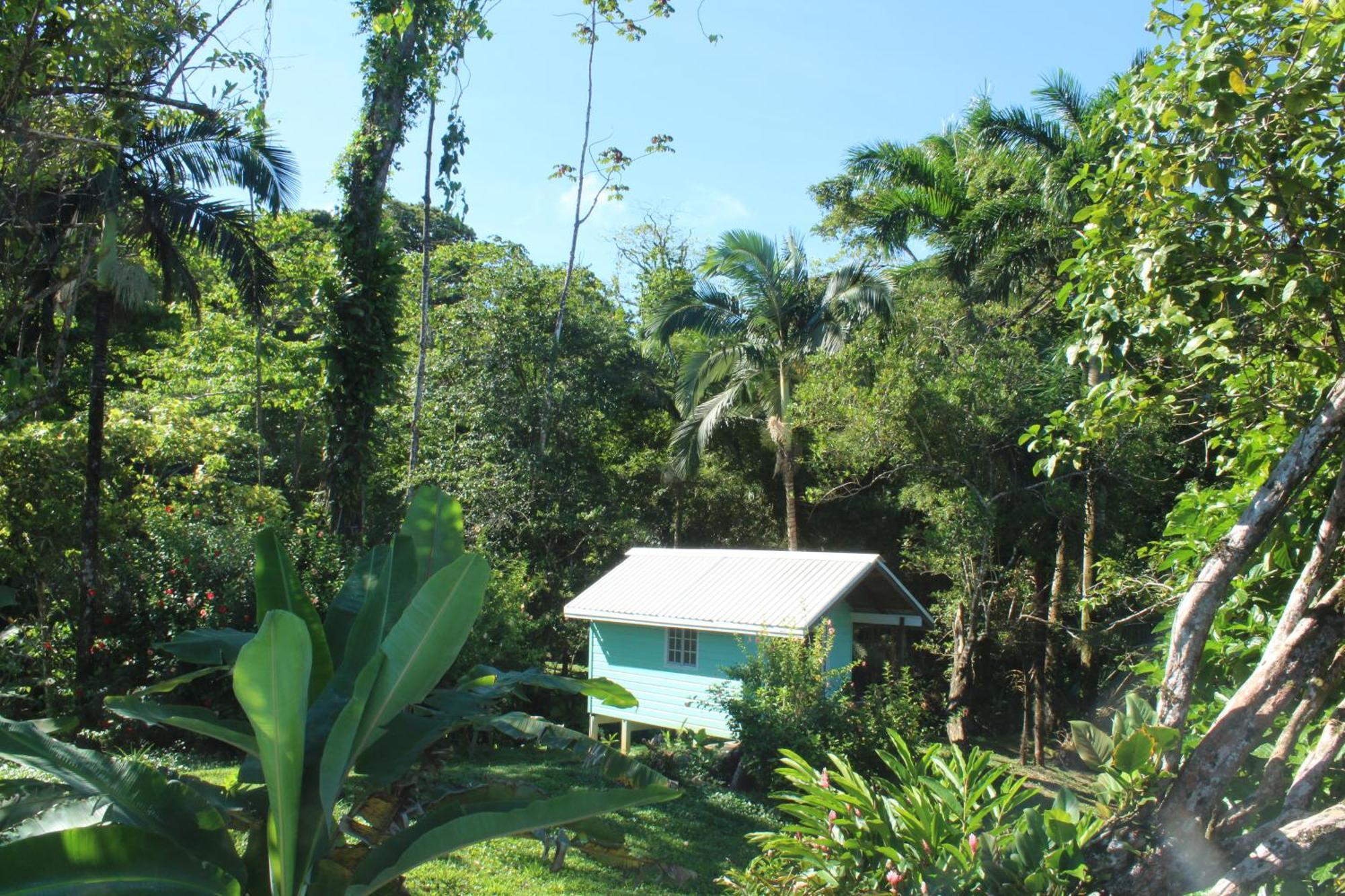 Bird Island Bungalows Bocas Town Cameră foto